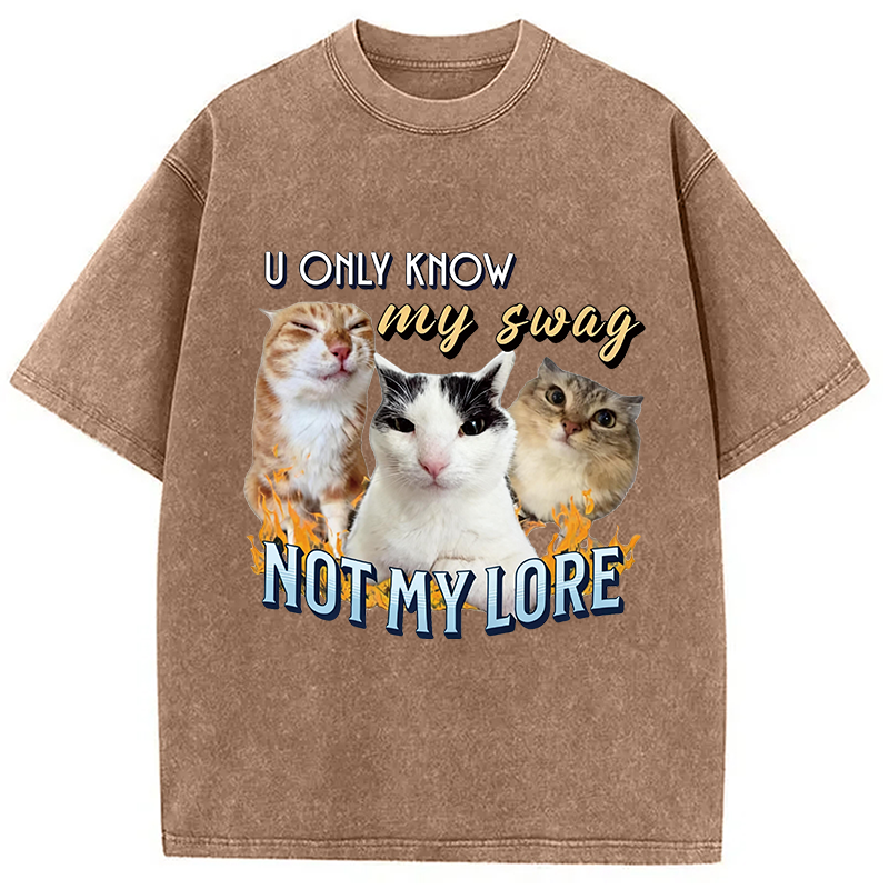 Modecanvas Funny Y2K Cat Meme DTG Printing Washed T-Shirt