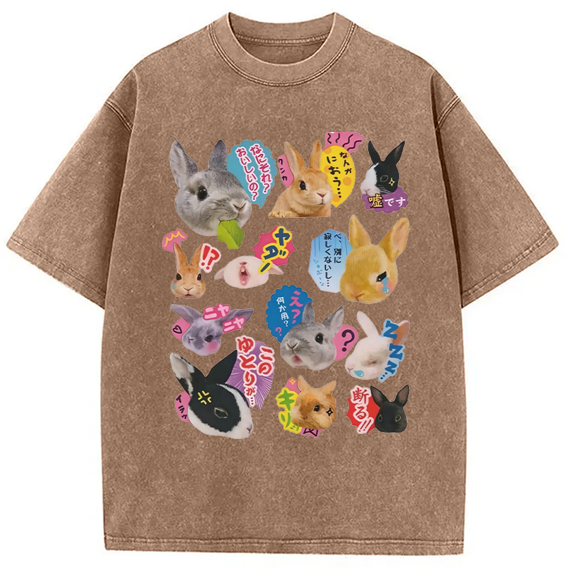 Modecanvas Japanese Bunny DTG Printing Washed T-Shirt