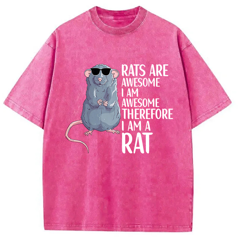 Modecanvas Rats Are Awesome Funny Rat DTG Printing Washed T-Shirt