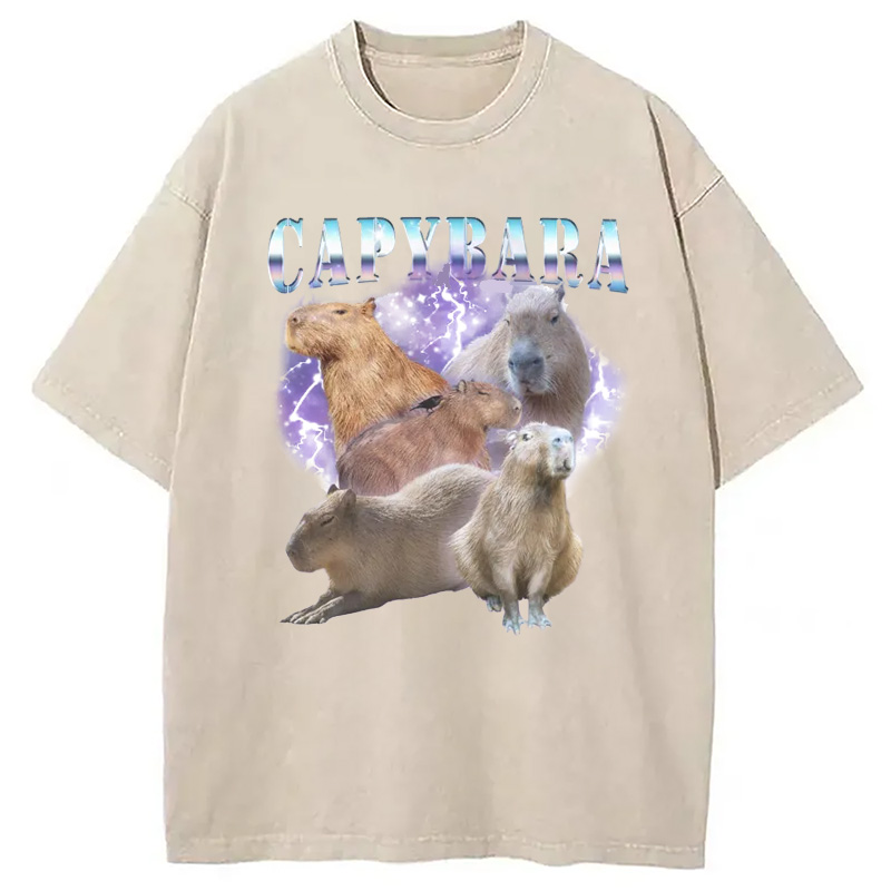 Modecanvas Vintage Capybara Washed T-Shirt