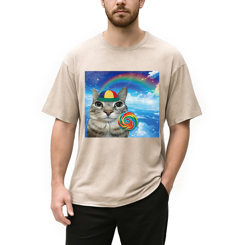 Modecanvas Wholesome Rainbow Cat DTG Printing Washed T-Shirt