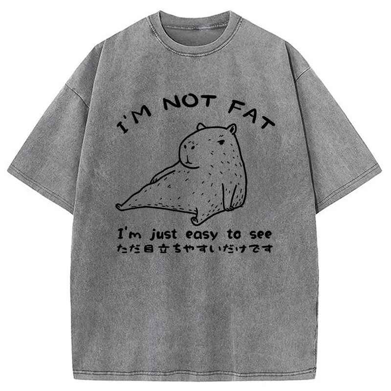 Modecanvas Capybara Fat Just Easy to See Washed T-Shirt