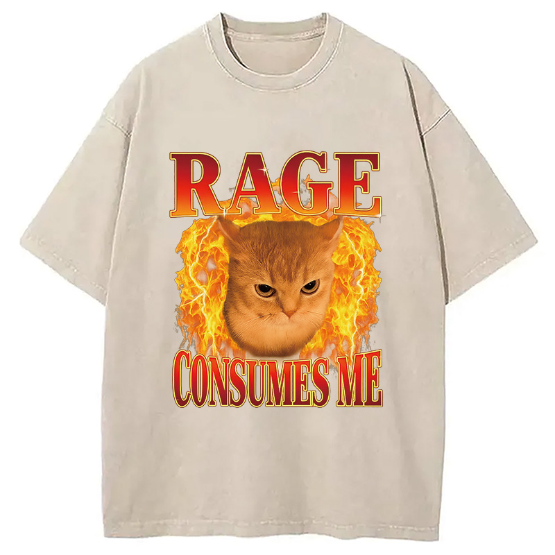 Modecanvas Rage Consumes Me Edgy Funny Cat Meme Washed T-Shirt-modecanvas
