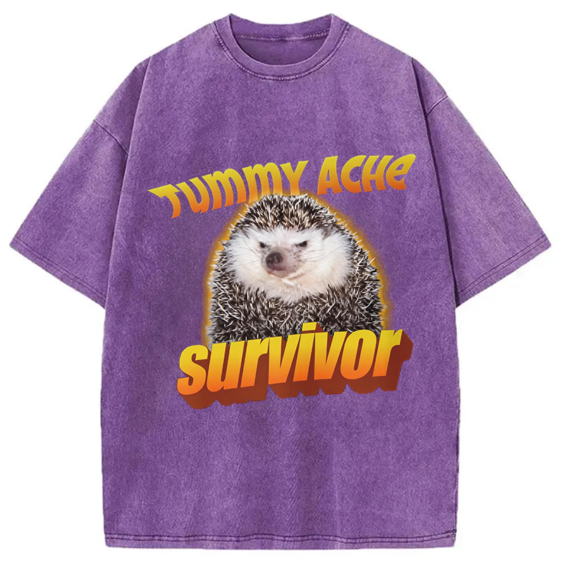 Modecanvas Tummy Ache Survivor Meme Washed T-Shirt-modecanvas