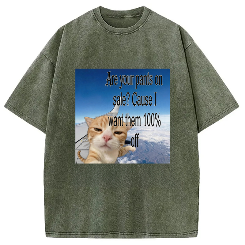 Modecanvas Are Your Pants On Sale? Cause I Want Them 100% Off DTG Printing Washed T-Shirt