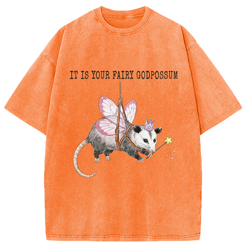 Modecanvas Funny Possum Meme DTG Printing Washed T-Shirt
