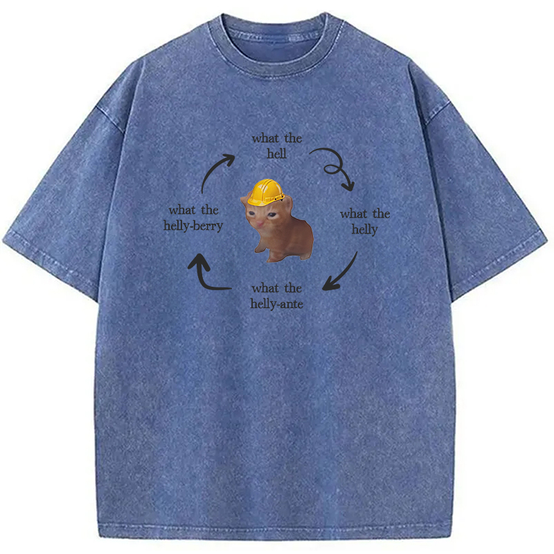 Modecanvas What The Helly Funny Cat Meme DTG Printing Washed T-Shirt