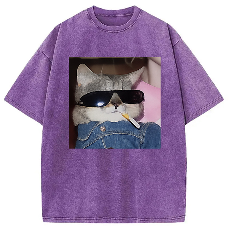 Modecanvas Funny Smoking Cat Meme Washed T-Shirt
