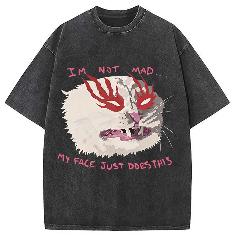 Modecanvas I'm Not Mad DTG Printing Washed T-Shirt