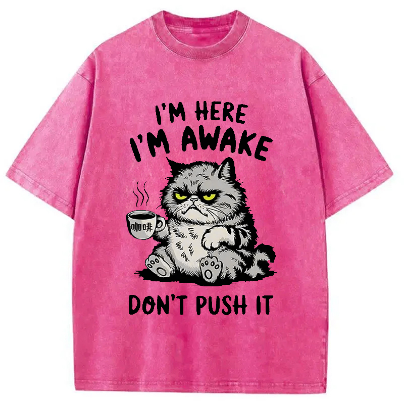 Modecanvas Tired Cat Washed T-Shirt