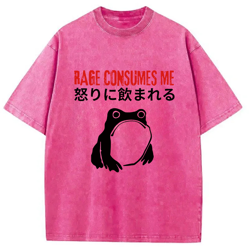 Modecanvas Rage Consumes Me Frog Meme DTG Printing Washed T-Shirt