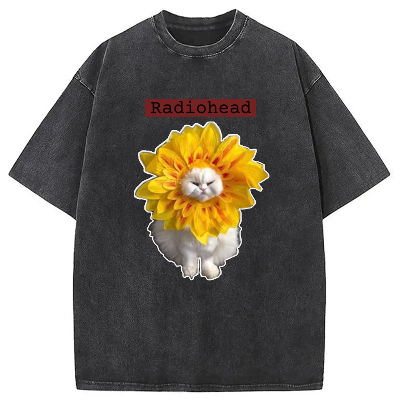 Modecanvas Radiohead Cat Washed T-Shirt