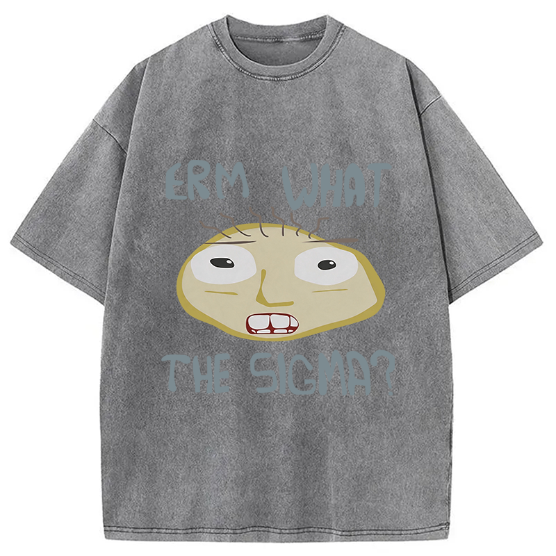 Modecanvas Erm What the Sigma Meme DTG Printing Washed T-Shirt