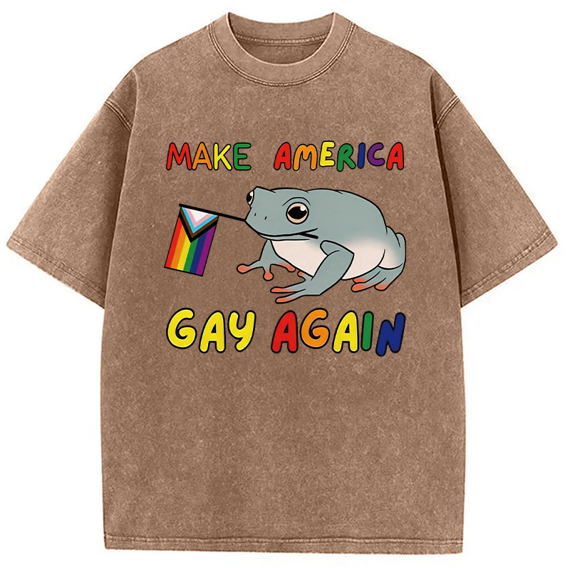 Modecanvas Make America Gay Again Pride Frog DTG Printing Washed T-Shirt