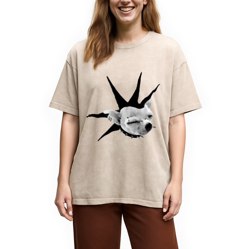 Modecanvas Funny Collar Dog Meme Washed T-Shirt