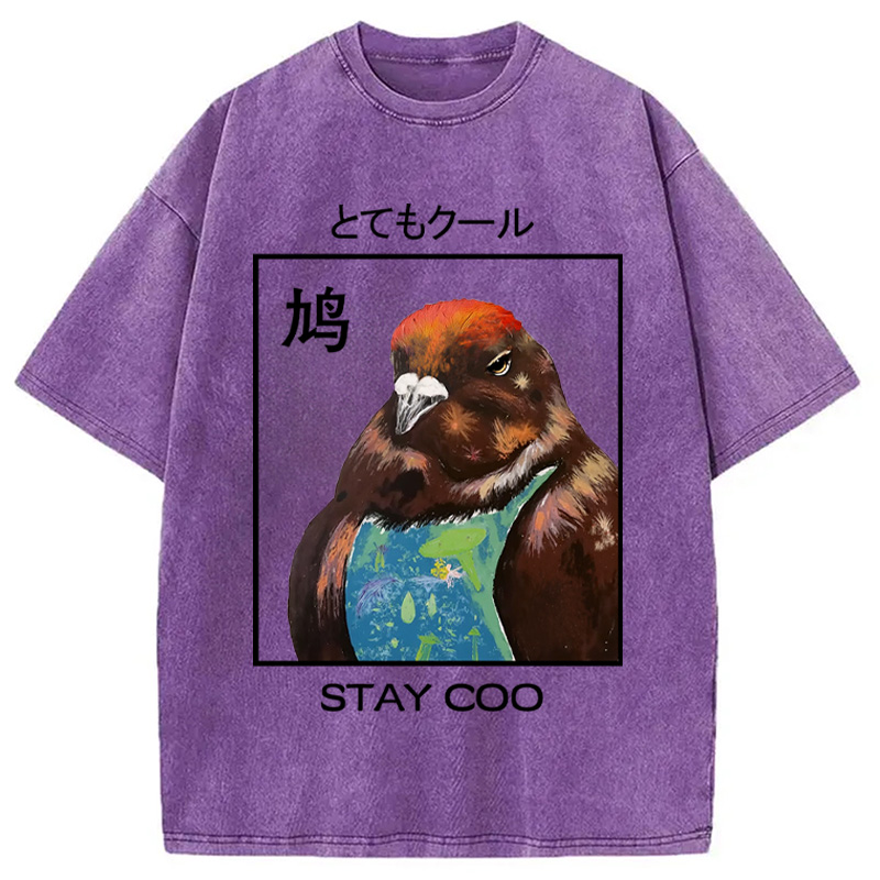 Modecanvas Stay Cool Pigeon Washed T-Shirt