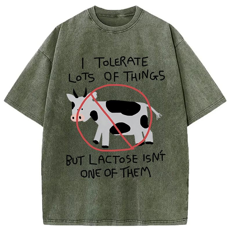 Modecanvas I Tolerate Lots Of Things DTG Printing Washed T-Shirt