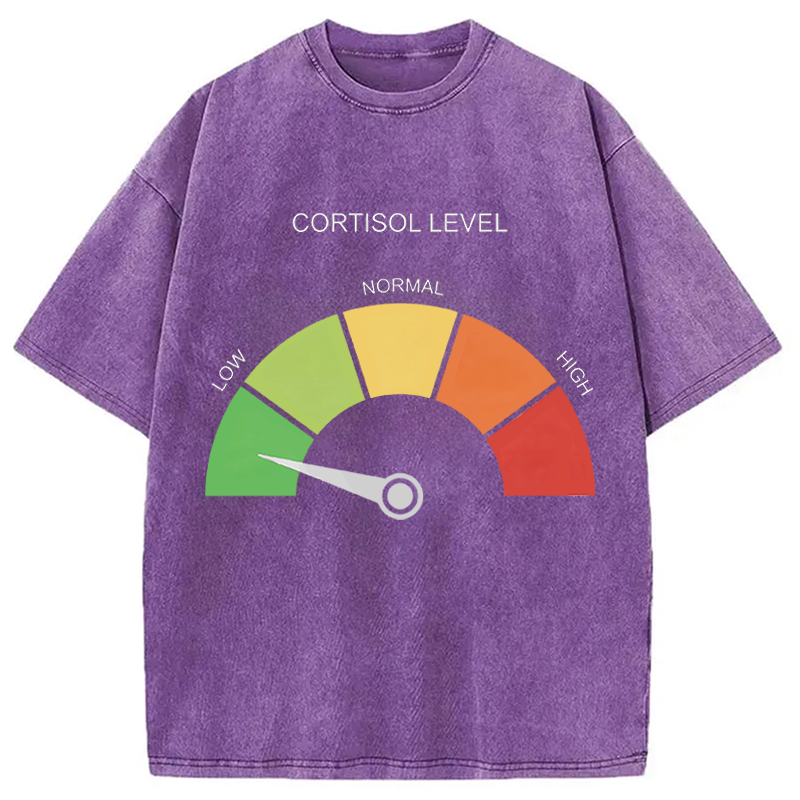 Modecanvas Cortisol Level Meme DTG Printing Washed T-Shirt