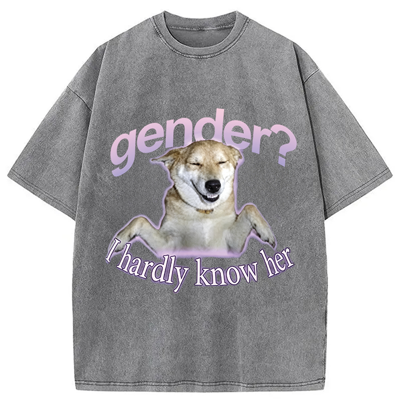 Modecanvas Gender I Hardly Know Her Meme DTG Printing Washed T-Shirt