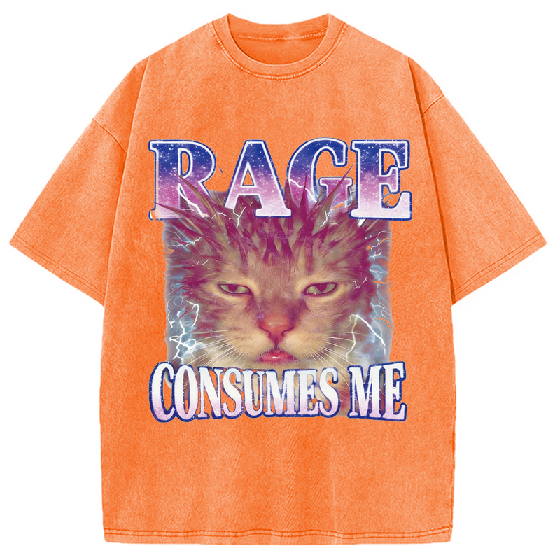 Modecanvas Rage Consumes Me Cat Funny Pet Meme DTG Printing Washed T-Shirt