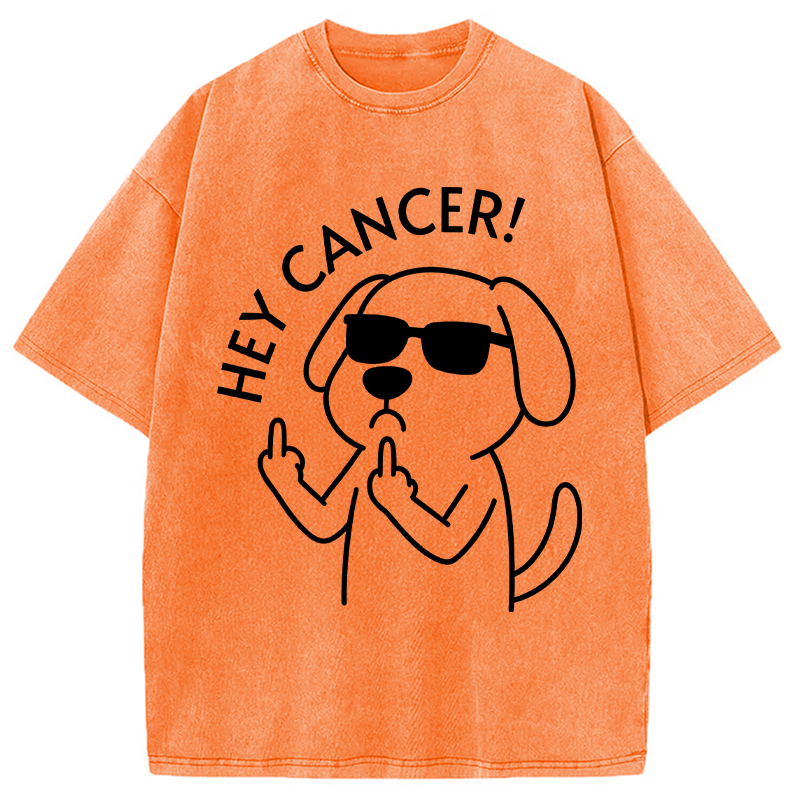 Modecanvas Hey Dog Cancer DTG Printing Washed T-Shirt