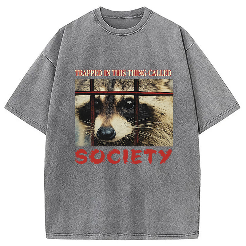Modecanvas Society Raccoon Washed T-Shirt