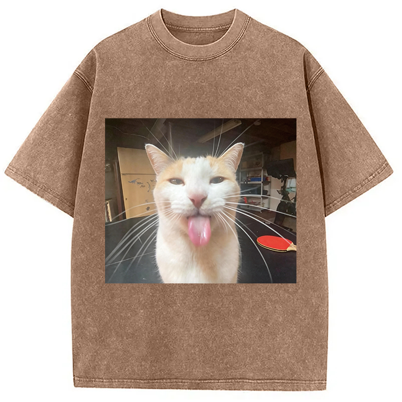 Modecanvas Silly Bleh Funny Cat Meme DTG Printing Washed T-Shirt