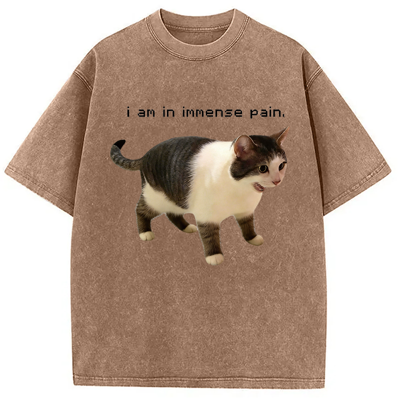 Modecanvas Screaming Cat Immense Pain DTG Printing Washed T-Shirt
