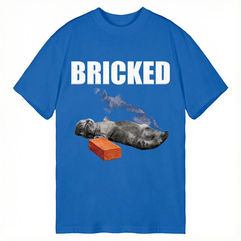 Modecanvas Bricked Funny Cat Knocked Out DTG Printing Classic T-Shirt-modecanvas