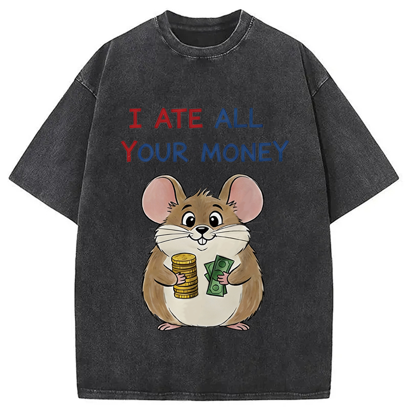 Modecanvas I Ate All Your Money Meme DTG Printing Washed T-Shirt-modecanvas