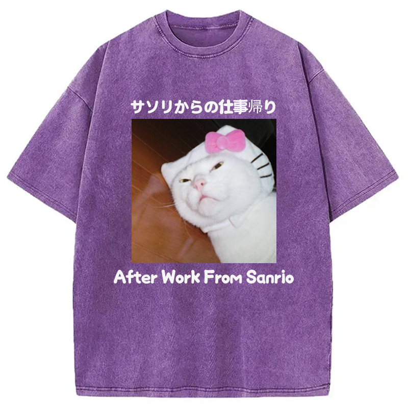 Modecanvas After Work From Sanrio Washed T-Shirt