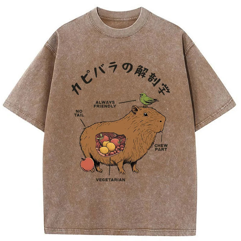 Modecanvas Capybara Anatomy Washed T-Shirt