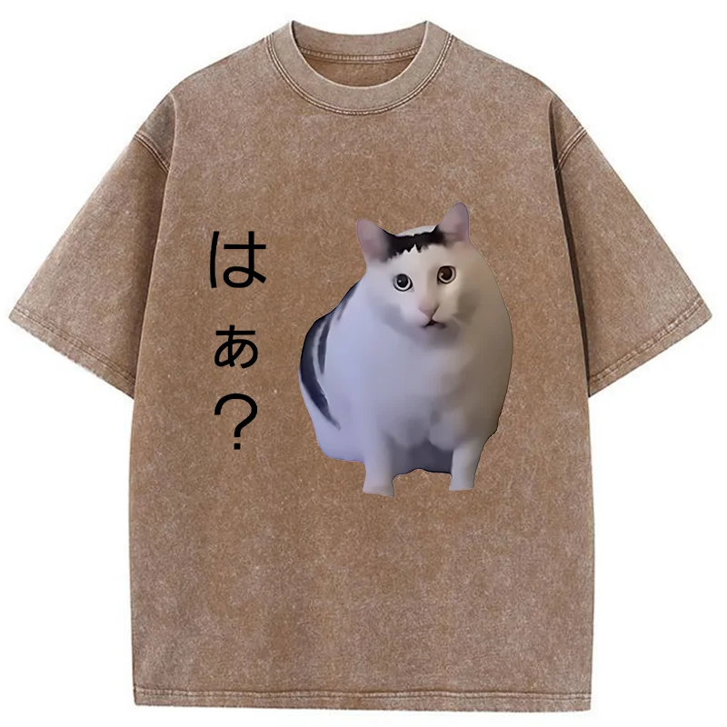 Modecanvas Suspicious Funny Cat Washed T-Shirt-modecanvas