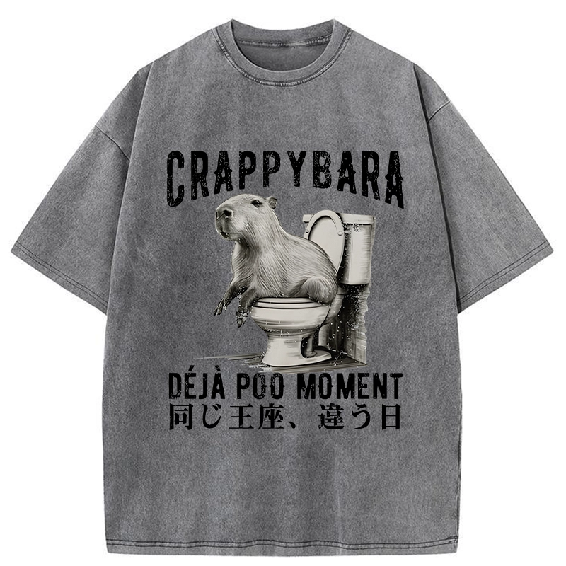 Modecanvas Capybara Same throne Different Day Washed T-Shirt