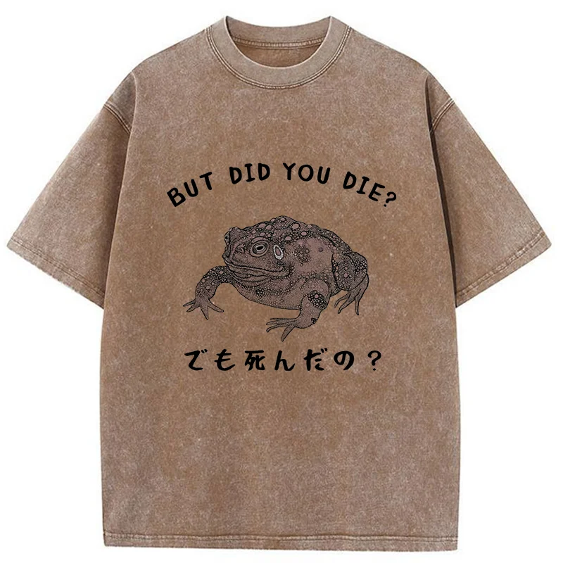 Modecanvas Question From Frog Funny Washed T-Shirt