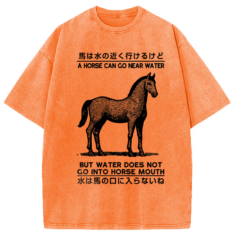 Modecanvas Funny Horse And Water Saying Washed T-Shirt