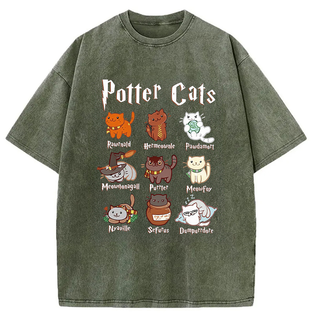 Modecanvas Wizard Cats Washed T-Shirt