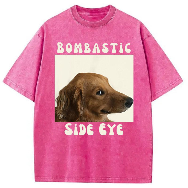 Modecanvas Bombastic Side Eye Funny Dog Meme Washed T-Shirt