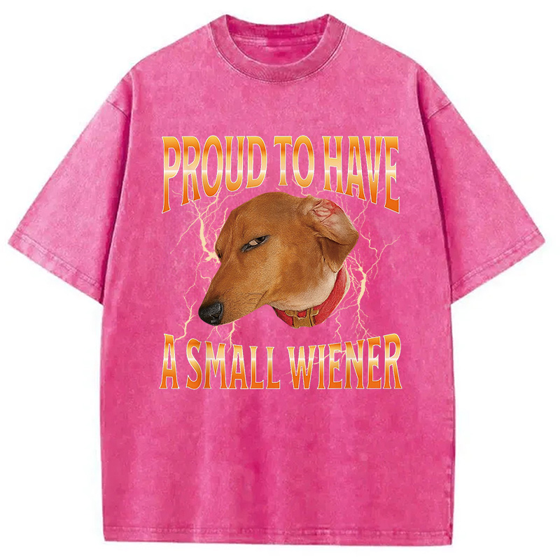 Modecanvas Funny Dog Meme Washed T-Shirt
