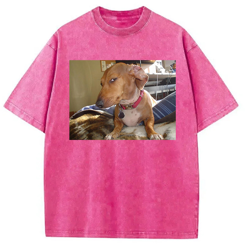 Modecanvas Side Eye Dog Meme Washed T-Shirt
