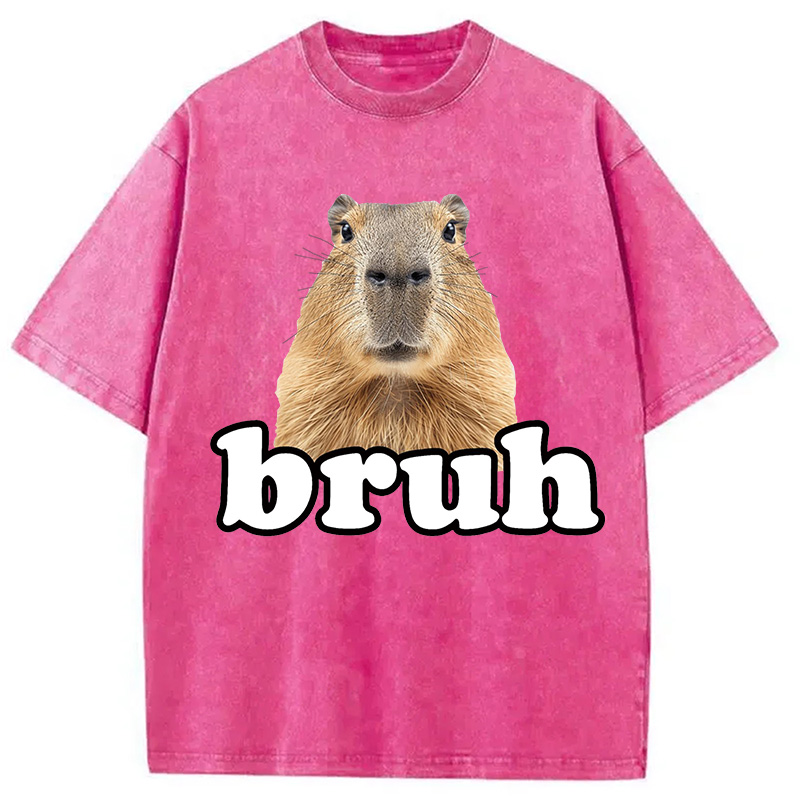Modecanvas Bruh Capybara Washed T-Shirt