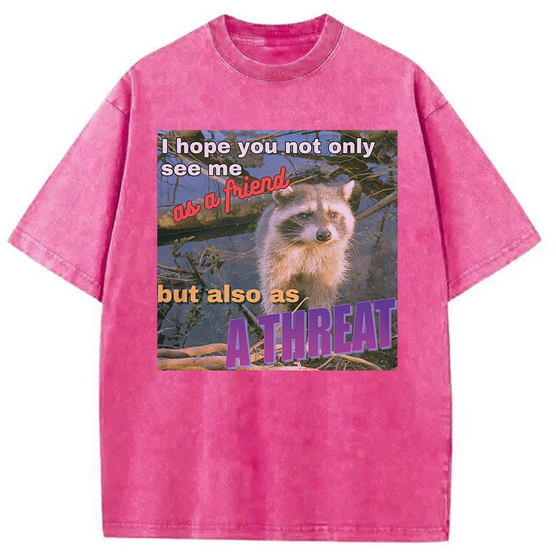Modecanvas Viral Raccoon Meme Washed T-Shirt
