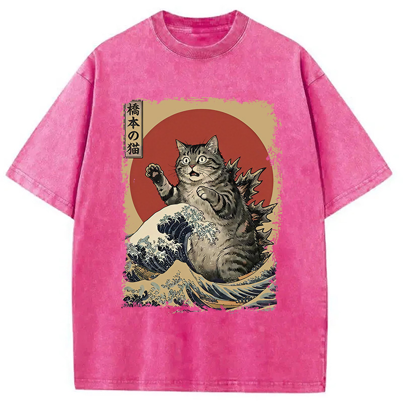 Modecanvas Catzilla Is Causing Destruction Washed T-Shirt