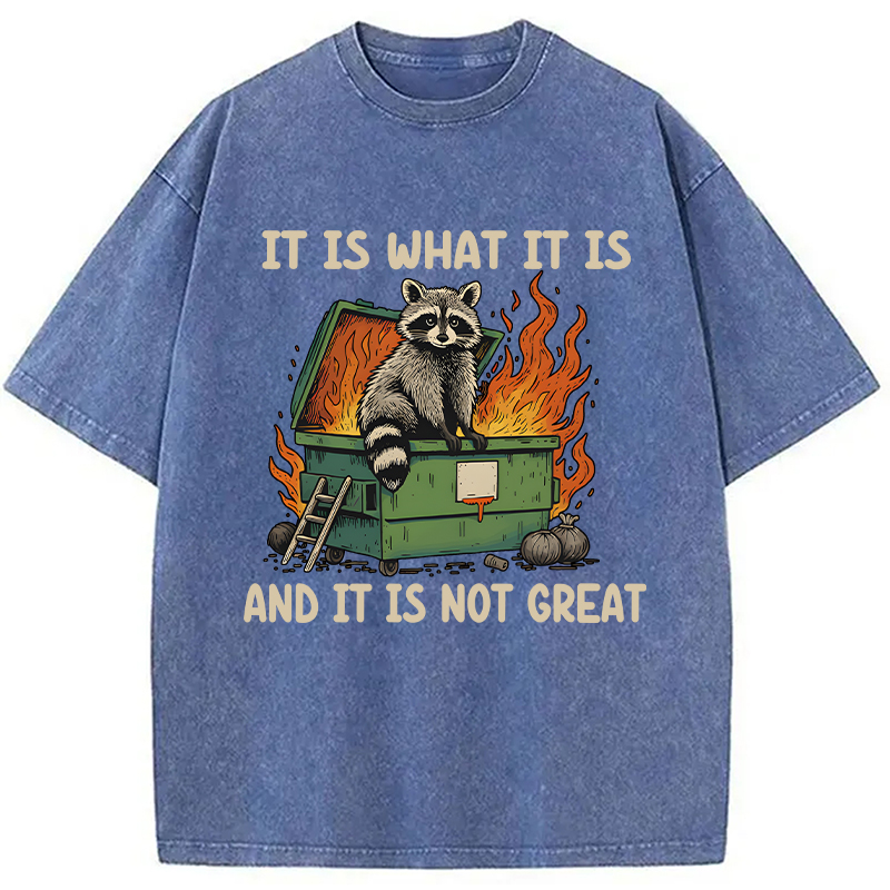 Modecanvas It Is What It Is Dumpster Fire Funny Raccoon Meme Washed T-Shirt