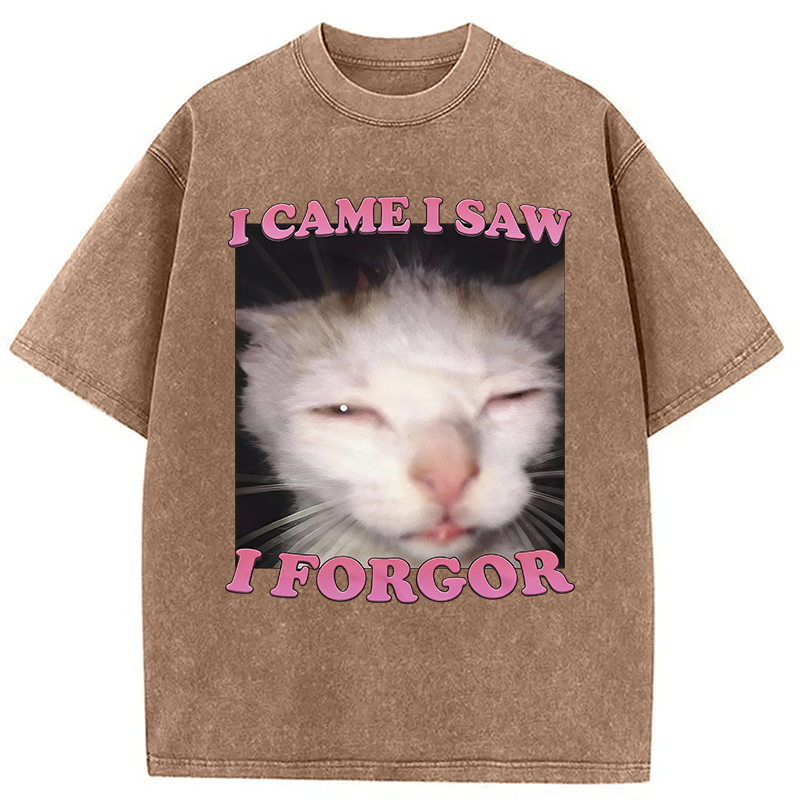Modecanvas I Forgor Funny Cat Meme Washed T-Shirt-modecanvas