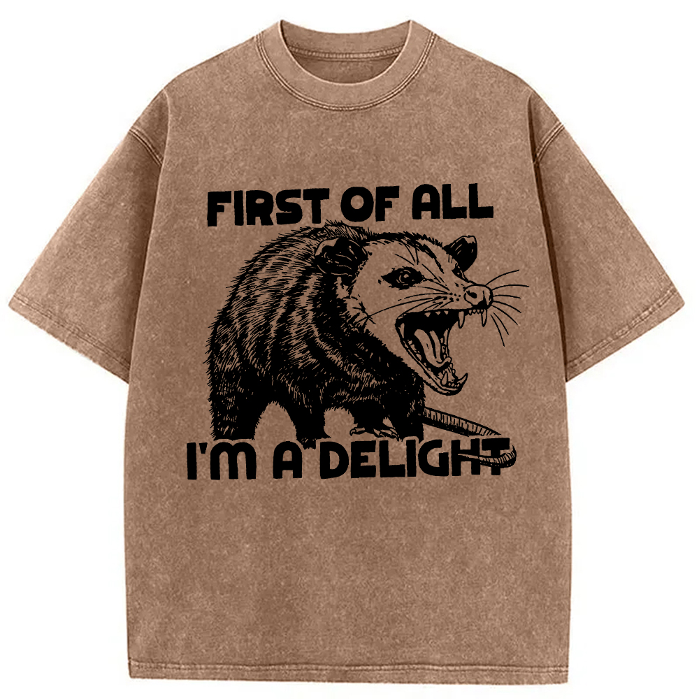 Modecanvas First of All Possum Washed T-Shirt