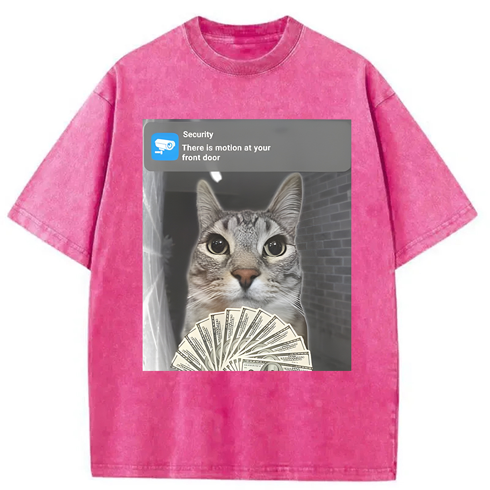 Modecanvas Ring Cat Meme Washed T-Shirt