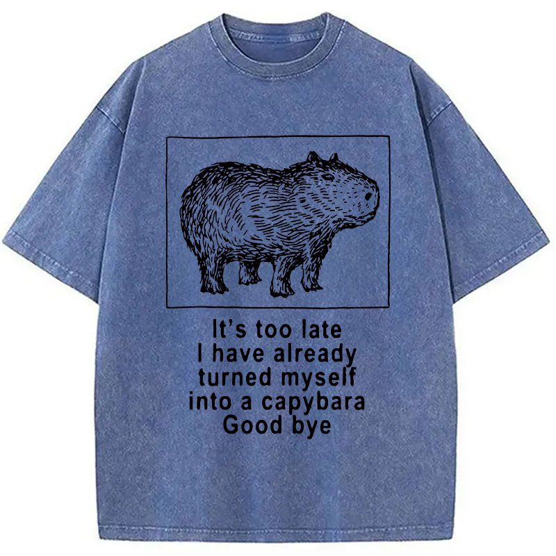 Modecanvas I Have Turned Myself Into A Capybara Washed T-Shirt-modecanvas