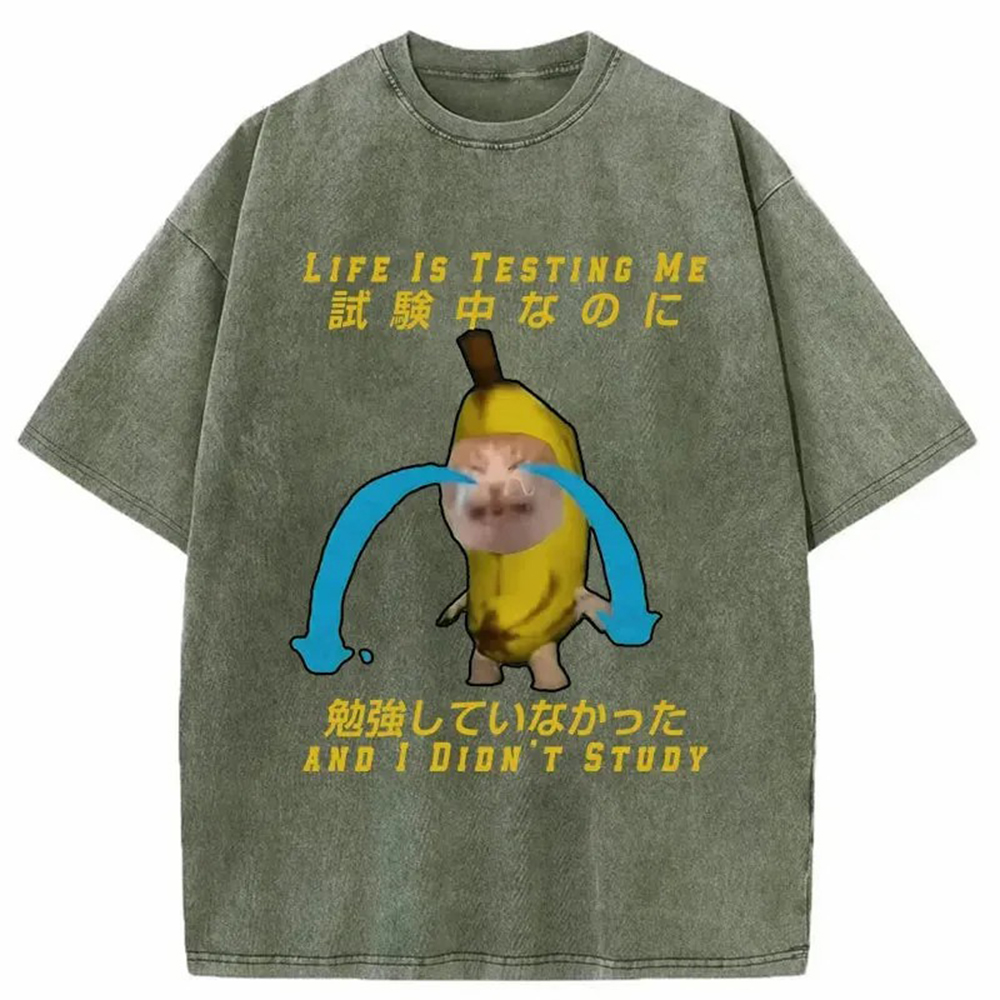 Modecanvas Cat Forced By Life Washed T-Shirt