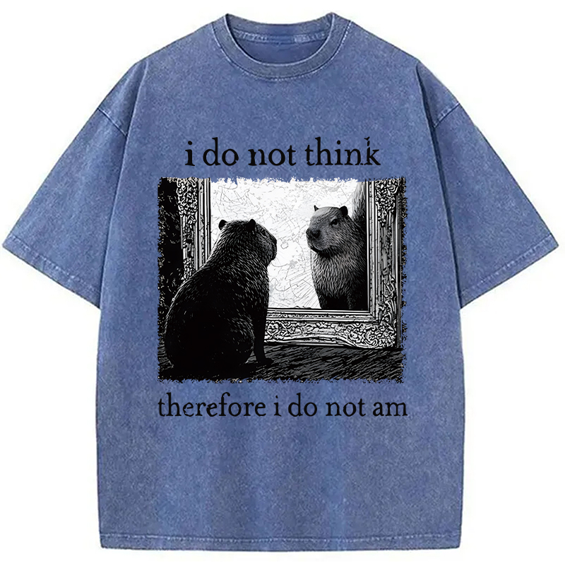 Modecanvas Capybara Paradox Washed T-Shirt